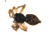  ( - BIOUG01578-A11)  @12 [ ] Copyright  G. Blagoev 2011 Unspecified