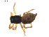  ( - BIOUG01578-B02)  @12 [ ] Copyright  G. Blagoev 2011 Unspecified
