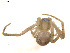  ( - BIOUG01578-E11)  @12 [ ] Copyright  G. Blagoev 2011 Unspecified
