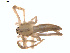  ( - BIOUG01578-F10)  @13 [ ] Copyright  G. Blagoev 2011 Unspecified
