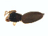  ( - BIOUG01636-B04)  @12 [ ] Copyright  G. Blagoev 2011 Unspecified