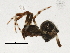  ( - BIOUG01637-H01)  @12 [ ] CreativeCommons - Attribution (2013) CBG Photography Group Centre for Biodiversity Genomics