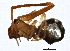 ( - BIOUG01960-B05)  @12 [ ] CreativeCommons - Attribution (2012) CBG Photography Group Centre for Biodiversity Genomics