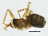  ( - BIOUG03561-H01)  @12 [ ] CreativeCommons - Attribution (2013) CBG Photography Group Centre for Biodiversity Genomics