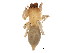  ( - BIOUG01898-G10)  @12 [ ] CreativeCommons - Attribution (2012) CBG Photography Group Centre for Biodiversity Genomics