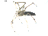  ( - BIOUG00622-D03)  @13 [ ] Copyright  G. Blagoev 2010 Unspecified