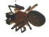  ( - BIOUG00622-F08)  @12 [ ] Copyright  G. Blagoev 2010 Unspecified