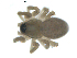  ( - BIOUG00622-F10)  @13 [ ] Copyright  G. Blagoev 2010 Unspecified