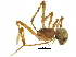  ( - BIOUG25728-H10)  @13 [ ] CreativeCommons - Attribution (2015) CBG Photography Group Centre for Biodiversity Genomics