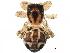  (Anasaitis - BIOUG28047-G09)  @14 [ ] CreativeCommons - Attribution (2016) CBG Photography Group Centre for Biodiversity Genomics