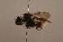  ( - 1552H05)  @14 [ ] Copyright (2010) Paul Williams, 2010 Unspecified