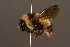  ( - 0004-CHN)  @15 [ ] Unspecified (default): All Rights Reserved  Unspecified Unspecified