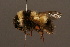  ( - 0007-CHN)  @15 [ ] Unspecified (default): All Rights Reserved  Unspecified Unspecified