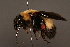  ( - 0147-KYR)  @13 [ ] Unspecified (default): All Rights Reserved  Unspecified Unspecified