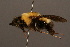  ( - 0152-MON)  @13 [ ] Unspecified (default): All Rights Reserved  Unspecified Unspecified