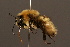  ( - 0173-CHN)  @15 [ ] Unspecified (default): All Rights Reserved  Unspecified Unspecified