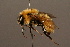  ( - 0175-CHN)  @15 [ ] Unspecified (default): All Rights Reserved  Unspecified Unspecified