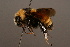  ( - 0252-CAN)  @13 [ ] Unspecified (default): All Rights Reserved  Unspecified Unspecified