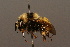  ( - 0253-CAN)  @13 [ ] Unspecified (default): All Rights Reserved  Unspecified Unspecified