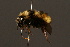 ( - 0255-CAN)  @13 [ ] Unspecified (default): All Rights Reserved  Unspecified Unspecified
