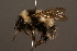  ( - 1283-CHN)  @15 [ ] Unspecified (default): All Rights Reserved  Unspecified Unspecified