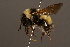  ( - 1284-CHN)  @15 [ ] Unspecified (default): All Rights Reserved  Unspecified Unspecified