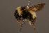  ( - 1286-CHN)  @14 [ ] Unspecified (default): All Rights Reserved  Unspecified Unspecified