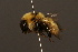  ( - 1486-CHN)  @14 [ ] Unspecified (default): All Rights Reserved  Unspecified Unspecified