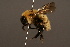  ( - 1487-CHN)  @14 [ ] Unspecified (default): All Rights Reserved  Unspecified Unspecified