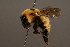  ( - 1488-CHN)  @14 [ ] Unspecified (default): All Rights Reserved  Unspecified Unspecified