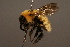  ( - 1489-CHN)  @14 [ ] Unspecified (default): All Rights Reserved  Unspecified Unspecified
