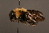  ( - 1862-MON)  @13 [ ] Unspecified (default): All Rights Reserved  Unspecified Unspecified