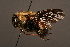  ( - 1863-MON)  @13 [ ] Unspecified (default): All Rights Reserved  Unspecified Unspecified