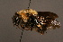  ( - 1864-MON)  @13 [ ] Unspecified (default): All Rights Reserved  Unspecified Unspecified