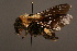  ( - 1865-MON)  @13 [ ] Unspecified (default): All Rights Reserved  Unspecified Unspecified