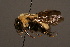  ( - 1885-MON)  @13 [ ] Unspecified (default): All Rights Reserved  Unspecified Unspecified