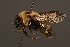  ( - 1886-MON)  @13 [ ] Unspecified (default): All Rights Reserved  Unspecified Unspecified