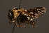  ( - 1900-MON)  @13 [ ] Unspecified (default): All Rights Reserved  Unspecified Unspecified