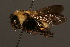  ( - 1902-MON)  @13 [ ] Unspecified (default): All Rights Reserved  Unspecified Unspecified