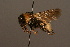  ( - 1970-MON)  @14 [ ] Unspecified (default): All Rights Reserved  Unspecified Unspecified