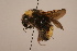  ( - 3369-USA)  @13 [ ] Unspecified (default): All Rights Reserved  Unspecified Unspecified