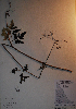  ( - BAB-0359)  @11 [ ] Unspecified (default): All Rights Reserved  Unspecified Unspecified