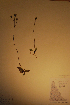  ( - BAB-0578)  @11 [ ] Unspecified (default): All Rights Reserved  Unspecified Unspecified