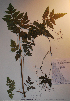  ( - BAB-1022)  @11 [ ] Unspecified (default): All Rights Reserved  Unspecified Unspecified