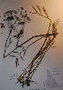  ( - BAB-1282)  @11 [ ] Unspecified (default): All Rights Reserved  Unspecified Unspecified
