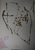  ( - BAB-1337)  @11 [ ] Unspecified (default): All Rights Reserved  Unspecified Unspecified