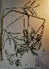  ( - BAB-2169)  @11 [ ] Unspecified (default): All Rights Reserved  Unspecified Unspecified