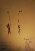  ( - BAB-2625)  @11 [ ] Unspecified (default): All Rights Reserved  Unspecified Unspecified
