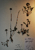  ( - BAB-3107)  @11 [ ] Unspecified (default): All Rights Reserved  Unspecified Unspecified