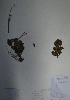  ( - BAB-3627)  @12 [ ] Unspecified (default): All Rights Reserved  Unspecified Unspecified